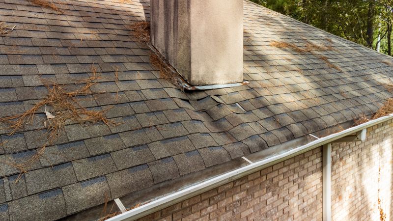Gutter and Roof Maintenance